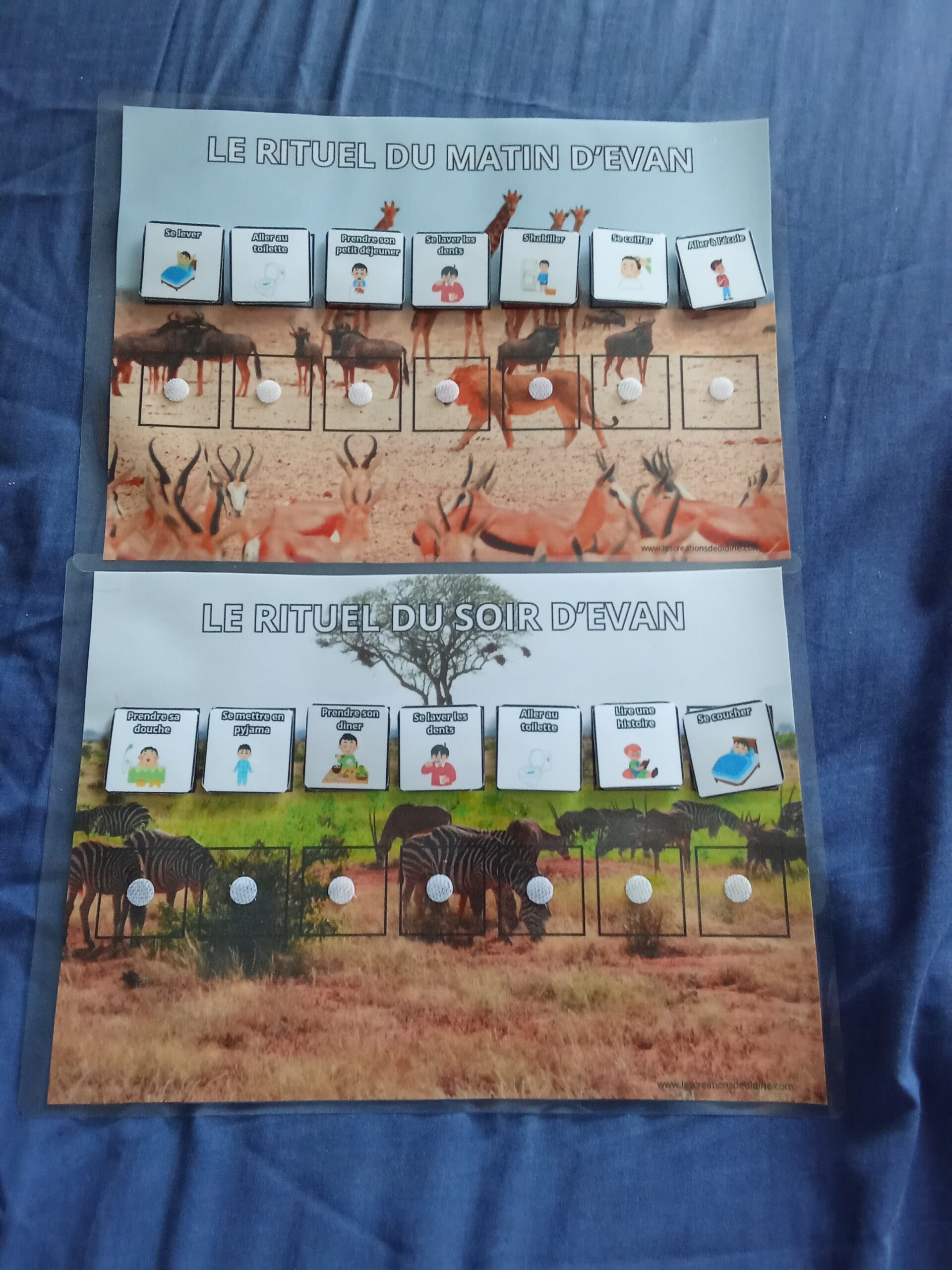 Rituel du matin et rituel du soir – Image 6