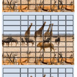 tableau des comportements